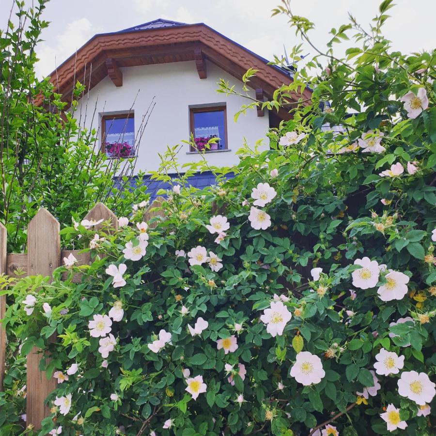 タルヴィージオ Al Sentiero Di Charly Bed & Breakfast エクステリア 写真