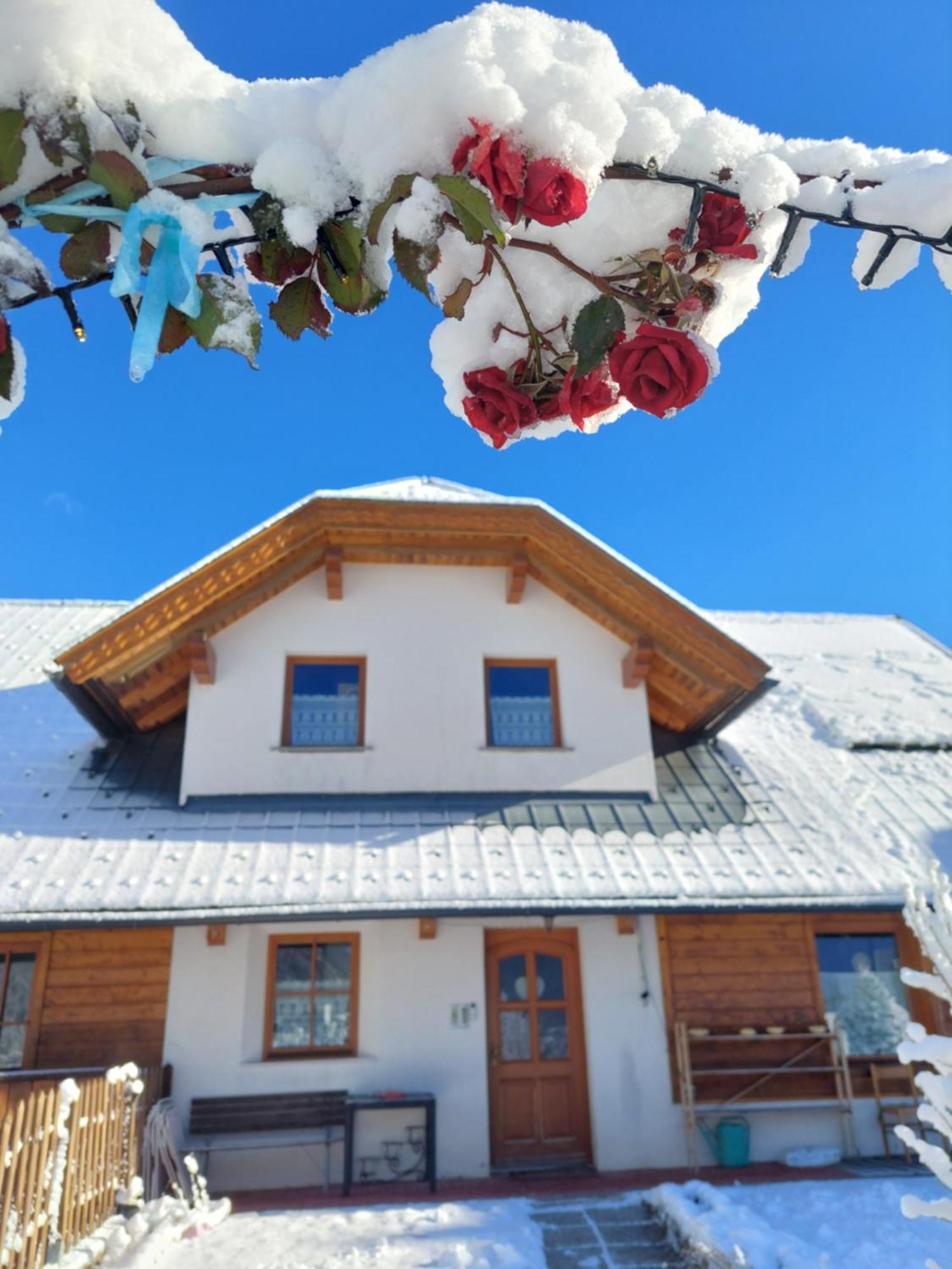 タルヴィージオ Al Sentiero Di Charly Bed & Breakfast エクステリア 写真